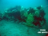 thumbs culvert