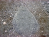 thumbs img 0519