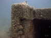thumbs img 0542