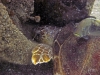 thumbs img 0581