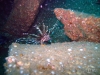 thumbs img 0590