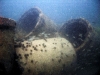 thumbs culvert stack small