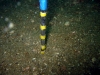 thumbs img 0592