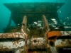thumbs spike wreck wheelhouse