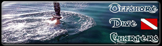 dani banner dani banner