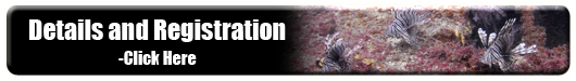 Click Here To Participate jacksonville lionfish tournament registration
