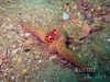 thumbs img 0904