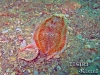 thumbs img 0912