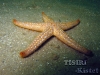 thumbs img 0977