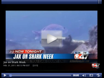 2 21 11 47 shark