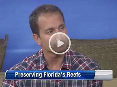 6 11 11 wjxt reefs