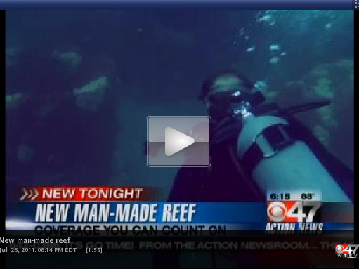 7 26 11 47 reef