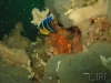 thumbs img 0128