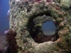 thumbs img 1089