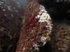 thumbs img 1096