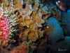 thumbs img 1126