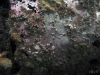 thumbs img 1198