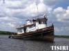 thumbs front starboard web