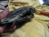 thumbs img 1922 1