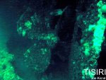 CH Tug Dive Untitled 5 Gallery