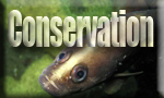 conservation2