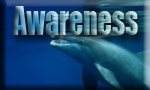 marine awareness2