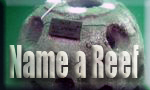 name reef2