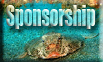 reef info marketing2